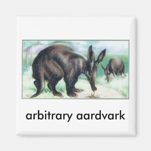 willkürlicher Aardvark Magnet (Vorne)