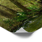 Willow am River Test Poster (Ecke)