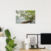 Willow am See Poster (Heimbüro)