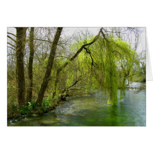 Willow auf der Flusstestkarte