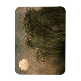 Willow bei Sunset Magnet