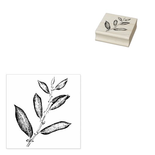 Willow Branch Gummistempel (Stempel)