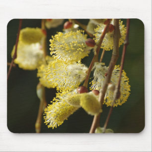 Willow Buds Mousepad