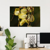 Willow Buds Poster (Heimbüro)