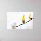 Willow Catkins - Silver World Leinwanddruck (Vorderseite)