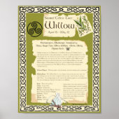WILLOW CELTIC SACRED BAUM POSTER (Vorne)