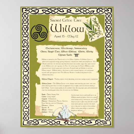 WILLOW CELTIC SACRED BAUM POSTER (Vorne)