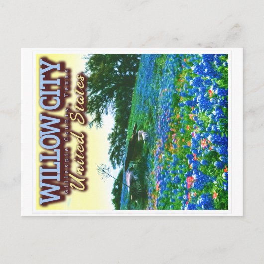 WILLOW CITY TEXAS - WILLOW CITY LOOP - BLUEBONNET POSTKARTE (Vorderseite)