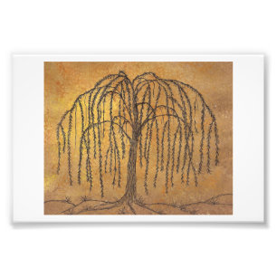 Willow Fotodruck
