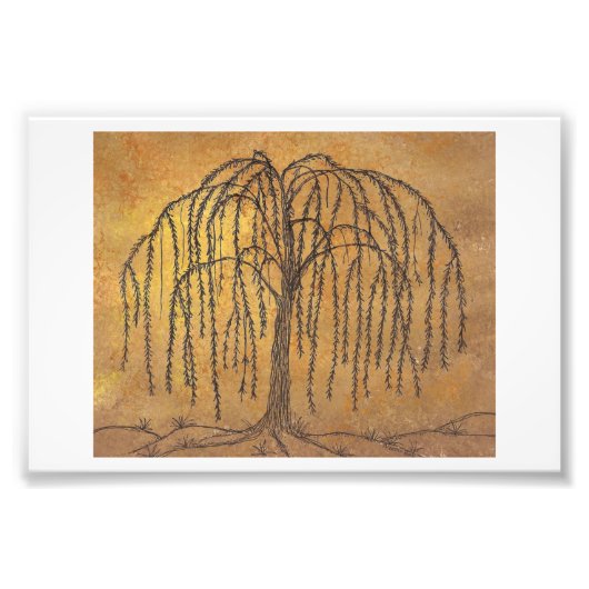 Willow Fotodruck (Vorne)