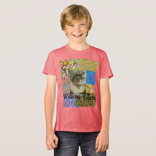 Willow Glen Patchwork und Katze Tri-Blend Shirt (Vorderseite voll)