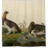 Willow Grous (Grouse) - Audubons Vögel von Amerika Duschvorhang (Vorderseite)