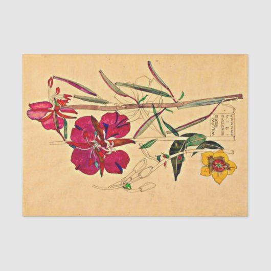Willow Herb von Charles Mackintosh Seidenpapier (Vorderseite)