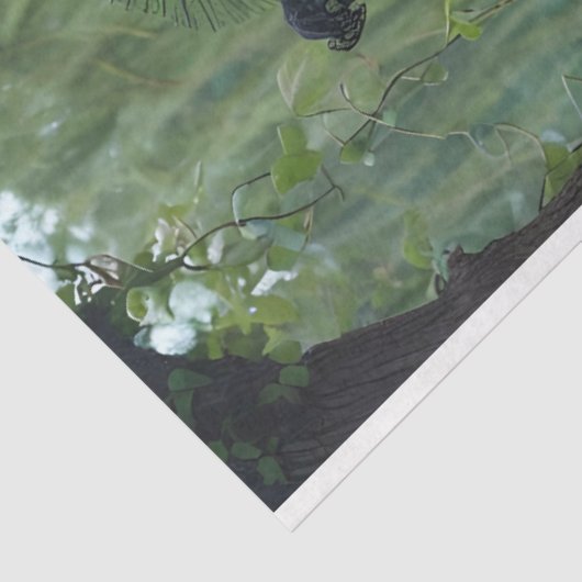 Willow Hexe Verlassen gegenüber Gewebepapier Seidenpapier (Ausschnitt)