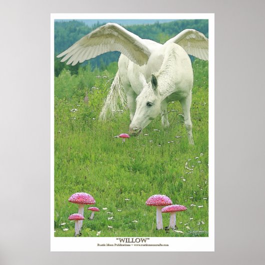 "WILLOW" Pegasus Fantasy Art Poster (Vorne)