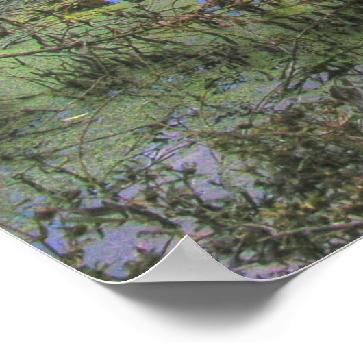 Willow Pond - Cherokee Park Poster (Ecke)