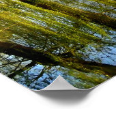 Willow Pond Water Reflection Poster (Ecke)