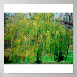 Willow Poster/Print Poster