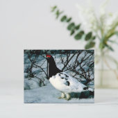 Willow Ptarmigan Postkarte (Stehend Vorderseite)