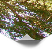 Willow Tree Poster (Ecke)