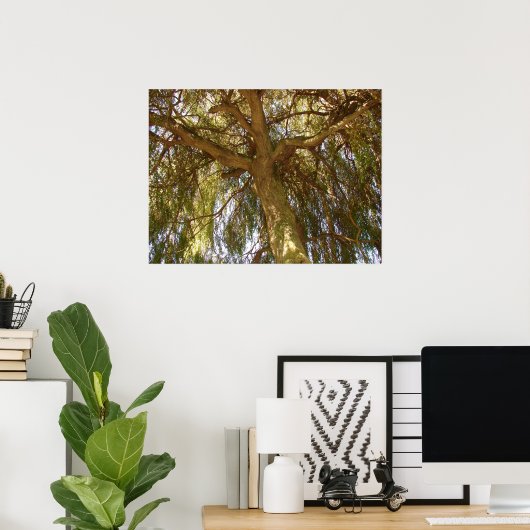 Willow Tree Poster (Heimbüro)