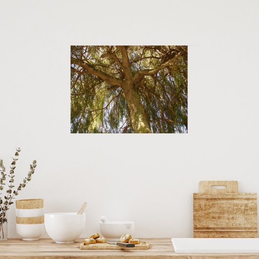 Willow Tree Poster (Küche)