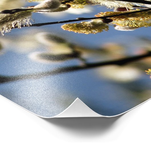 WILLOW TREM FOTODRUCK (Ecke)