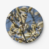 WILLOW TREM PAPPTELLER (Vorderseite)