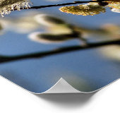 WILLOW TREM POSTER (Ecke)