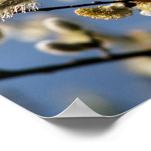 WILLOW TREM POSTER (Ecke)