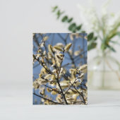 WILLOW TREM POSTKARTE (Stehend Vorderseite)