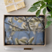 WILLOW TREM SEIDENPAPIER (Geschenk)