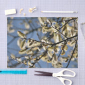 WILLOW TREM SEIDENPAPIER (Handwerk)