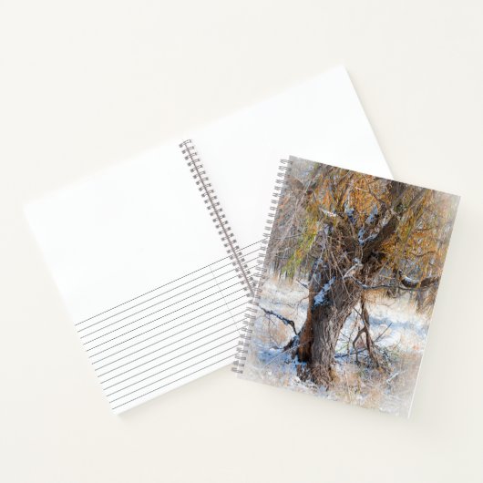 Willow Walking Notizblock (Innenseite)