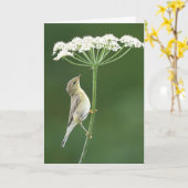 Willow Warbler Karte (Gelbe Blume)