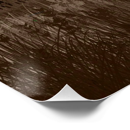 Willow Wisp Ghost Poster (Ecke)