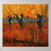 Willows at Sunset by Vincent van Gogh Poster (Vorne)