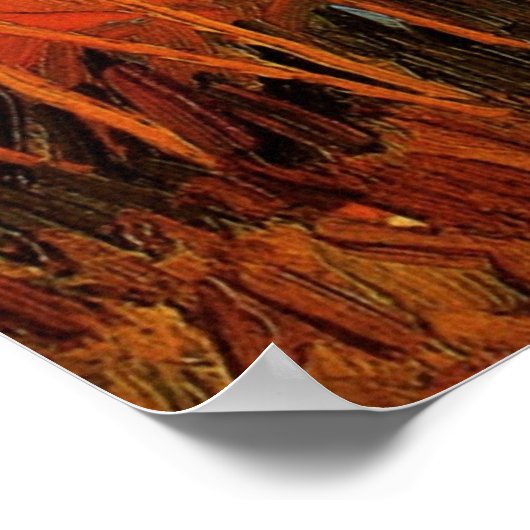 Willows at Sunset by Vincent van Gogh Poster (Ecke)