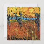 Willows bei Sunset von Vincent van Gogh. (Rückseite)