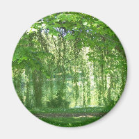 Willows mit Teich