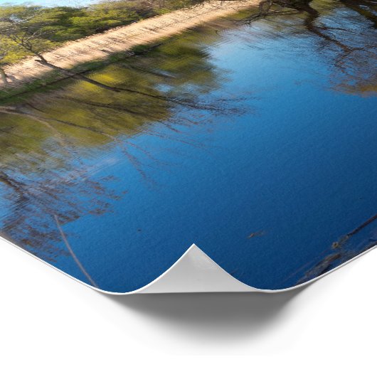 Willows Reeds and Pond im Frühling Poster (Ecke)