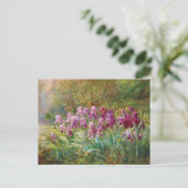 Willows und Ire von einem Creek Postkarte (Stehend Vorderseite)