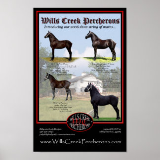 WILLS CREEK PERCHERONS 2006 SHOW STRING POSTER