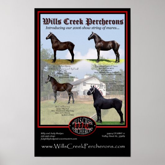 WILLS CREEK PERCHERONS 2006 SHOW STRING POSTER (Vorne)