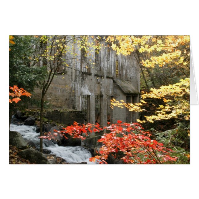 Willsons Ruinen, Quebec. (Vorderseite (Horizontal))