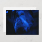 Willst du ausgehen? postkarte (Vorne/Hinten)