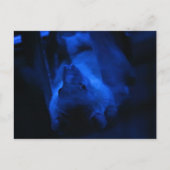 Willst du ausgehen? postkarte (Vorderseite)