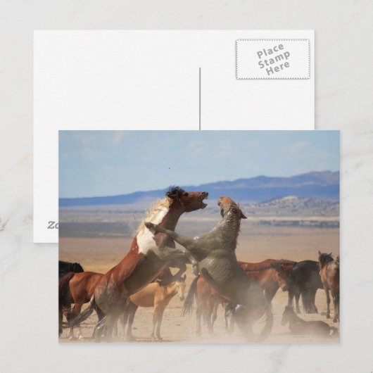 Willst du ein Stück von mir? Postkarte (Vorne/Hinten)