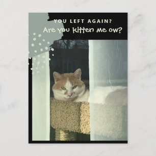 Willst du mich veräppeln, Katze auf der Stange Postkarte