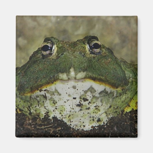 Willst du rauchen? Magnet? Magnet (Vorne)